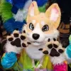 Scout Corgi